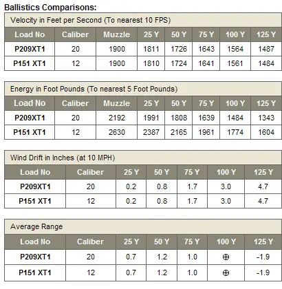 20 Gauge Ballistics Chart