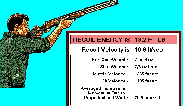 20 Gauge Slug Recoil Chart