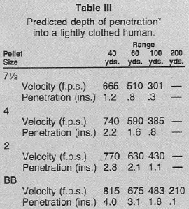 Steel Shot Energy Chart